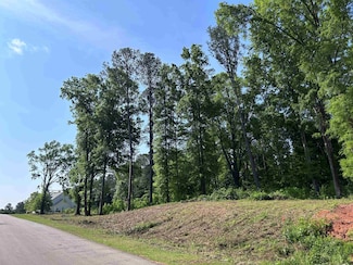 1111 Dockside Dr Unit 1111 Dockside Dr, Buckhead, GA 30625