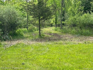 VL Faussett Rd, Tyrone Township, MI 48430