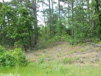 17 River Run Cove, Bigelow, AR 72016