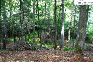 Lot 4 Brookhaven Trail, Jefferson, NC 28640