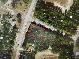 3010 W Iva Dr, Dunnellon, FL 34434