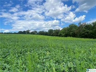 436 Willow Rd Unit Lot 15, Lehigh Township, PA 18088