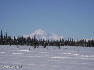 13510 S Walters Loop, Trapper Creek, AK 99683