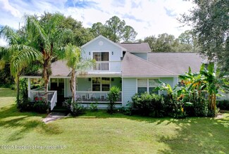 7347 Packingham Dr, Webster, FL 33597