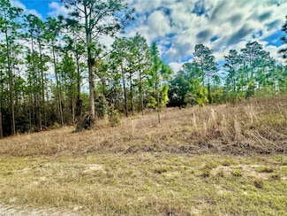 0 SE 131 Terrace Unit MFRO6285613, Dunnellon, FL 34431