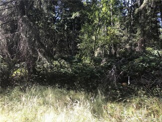 0 Morris Blvd Unit 1366285, Steilacoom, WA 98388