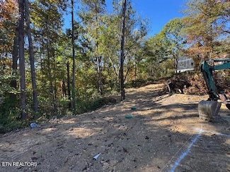 2779 Easy St, Sevierville, TN 37862