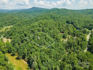 5 Roy Ln, Black Mountain, NC 28711