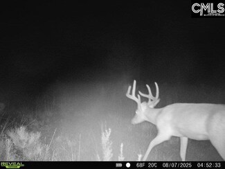 0000 N Brewington Rd, Manning, SC 29102