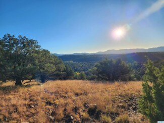 xx Crown T Ranch Rd, Silver City, NM 88061
