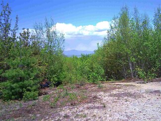 157 Reed Rd, Alton, NH 03810
