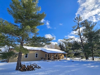 435 N Mount Tom Rd, Mio, MI 48647