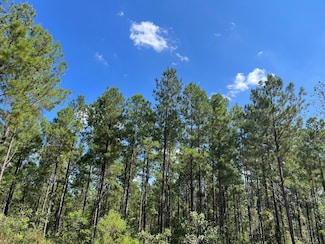 0 Arlington Dr SW, Bogue Chitto, MS 39629