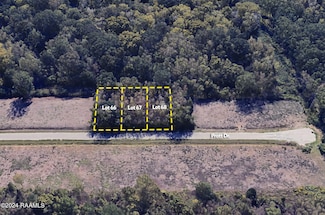 Lot 66 Pratt Dr, Saint Martinville, LA 70582