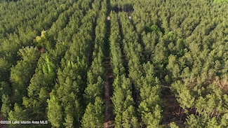 35.85+/-AC Churchill Rd, Camp Hill, AL 36850