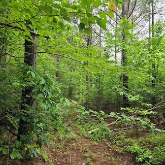 Lot 13 Holly Woods, Robbins, TN 38562