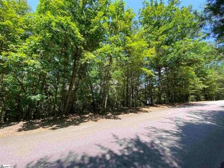 207 Luberon Ln, Travelers Rest, SC 29690