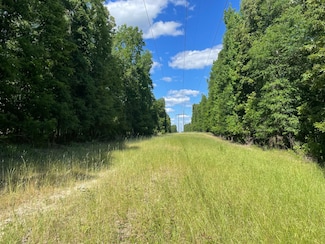 0 O Hwy 17 Unit 11254427, Butler, AL 36904