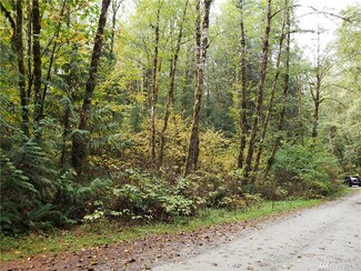 63641 E Cascade Dr, Marblemount, WA 98267