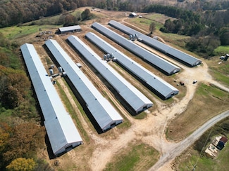 0 Cowbranch Rd, Hackleburg, AL 35564