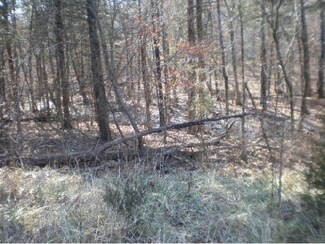 Lot 4 Redbud Dr, Flat Creek A Township, MO 65624