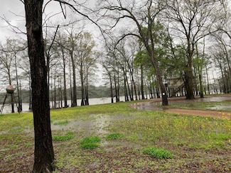 0 Chisholm Lake Spur Rd, Ripley, TN 38063