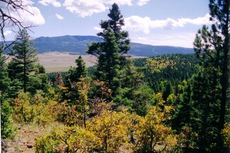 0 Taos Pines Ranch Rd Unit 10 - 20 Acre Lots Av, Taos, NM 87571