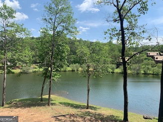 81 Magnificent Way, Cleveland, GA 30528