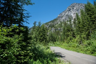 15 St Anton Strasse Unit LOT15, Snoqualmie Pass, WA 98068