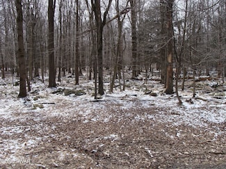 0 Valley Rd Unit PWBPW253773, Newfoundland, PA