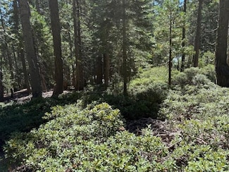 2780 Cedarview Ct, La Porte, CA 95981