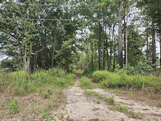 0 Spring Dell Way Unit 24023573, Saint Stephen, SC 29479