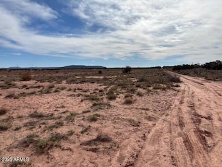9049 Old School Bus Trail, Snowflake, AZ 85937