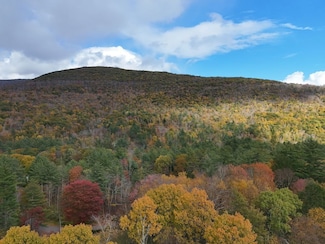 00 Garfield Road Lot Unit WP001, Phoenicia, NY 12464