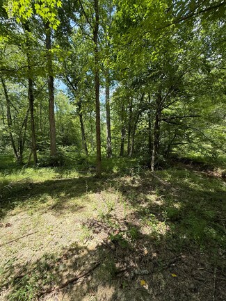 0 Loraine St Unit 307502, Pigeon Forge, TN 37863