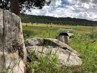TBD Fish Lake Rd, McCall, ID 83638
