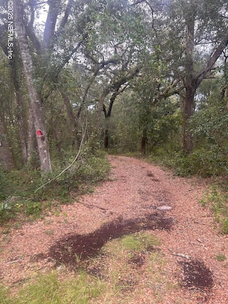 0 SE 182nd Ave Rd Unit 2103600, Ocklawaha, FL 32179