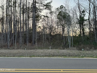0 Andrew Chapel Rd Unit 4072403, Brandon, MS 39042