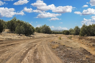 5079 N Pineveta Rd, Ash Fork, AZ 86320