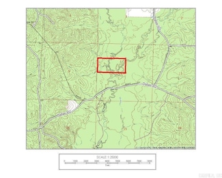 CR 302, Manning, AR 71763