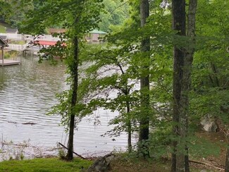 00 Sugar Hollow Trail, Piney Flats, TN 37686