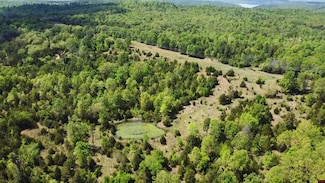 001-09819-000 Bowkers Ln, Dolph, AR 72528