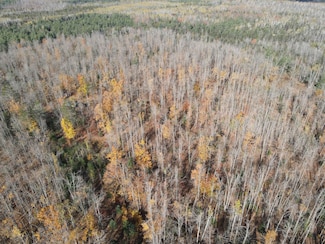 Bowden Trail, Hillman, MI 49746