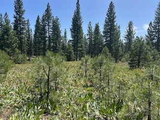 157 Arrowleaf Rd, Beckwourth, CA 96122