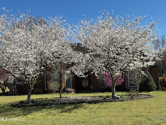 8450 Deercreek Cir, Olive Branch, MS 38654