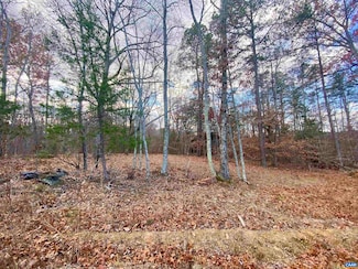 0 Charles Ln Unit 671164, Louisa, VA 23093