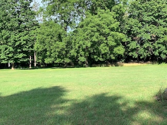 0 Lizzie St, Hesperia, MI 49421