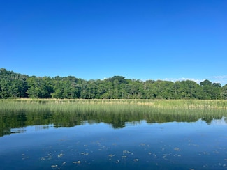 4XXXX E Lake Lizzie Rd, Lida Township, MN 56572