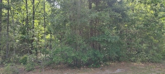 0 Charlie St, Opp, AL 36467