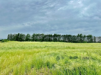 2505 Pioneer Trail, Corcoran, MN 55340